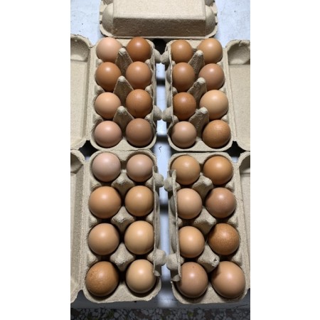 雞蛋 8個一盒